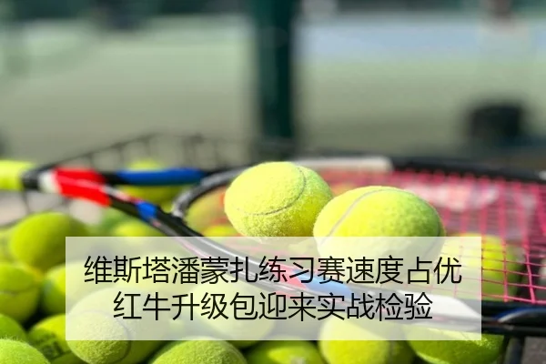 维斯塔潘蒙扎练习赛速度占优 红牛升级包迎来实战检验