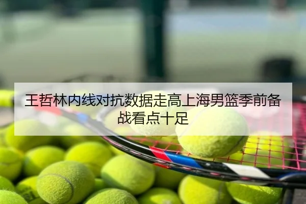王哲林内线对抗数据走高上海男篮季前备战看点十足